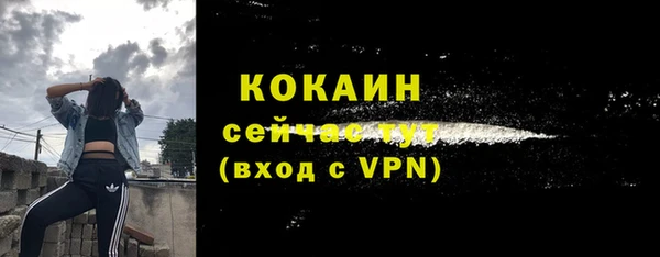 спайс Михайлов