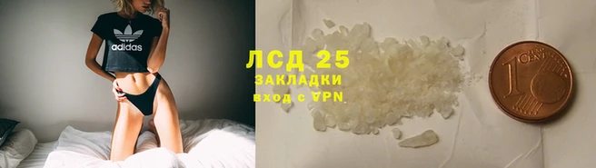 амф Алексин