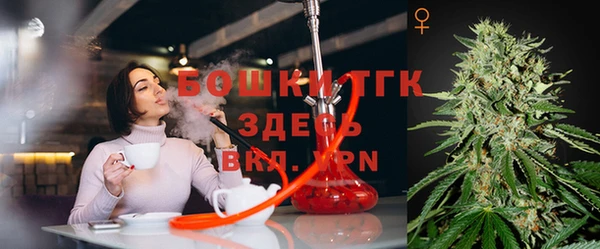 амф Алексин