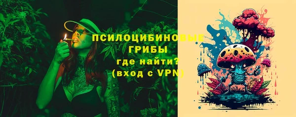 амф Алексин