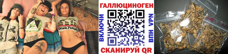 Галлюциногенные грибы Psilocybe  Рубцовск 